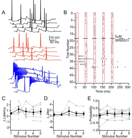 Figure 6. Blockade of GABA A receptors increases cell excitability but does not alter temporal precision of single action poten- poten-tials.A, Example current-clamp recording from a CA3 PC that exhibited plateau potentials in the presence of SR95531