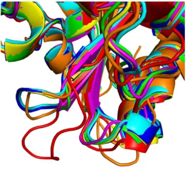 Figure 8. β5-β6 loop conformation of OXAs with different hydro- hydro-lytic profiles.  β5-β6  loop  conformation  adopted by different OXA  type enzymes