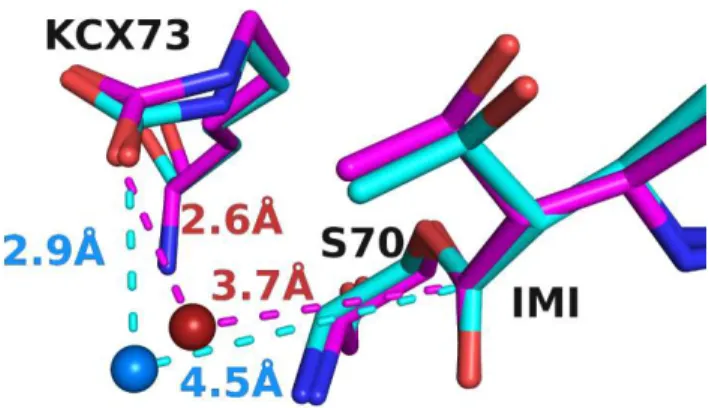Figure 7. Conserved water site in the hydrolytic water pocket. Con- Con-served  water  position  as  determined  by  HOP  analysis  for   OXA-48/imipenem complex (magenta) and OXA-48Loop18/imipenem  complex (cyan)