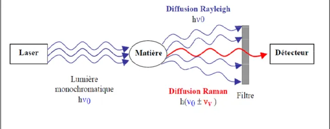 Figure 10: Processus de diffusion de la lumière par la matière (Himmel, 2005).