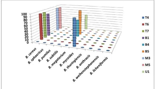 Figure 15: Pourcentage relatif d