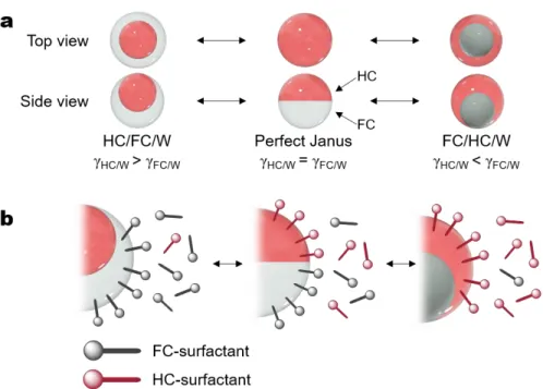 Figure 1.17. Dynamic double emulsions. (a) Top and side view images of the morphological changes of  HC  (red)  and  FC  (white)  with  adjustments  in  interfacial  tension  balances