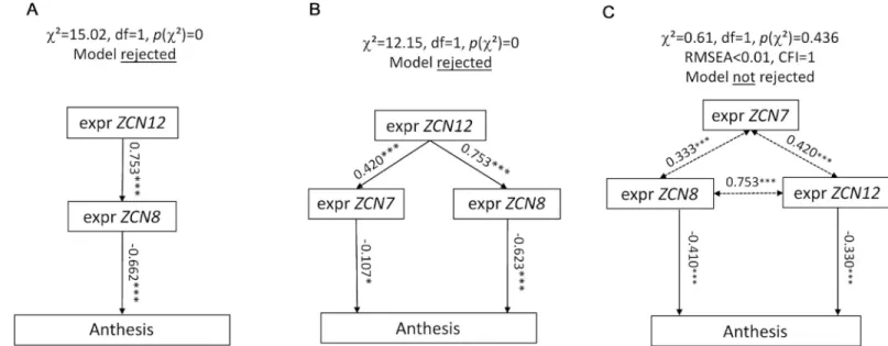 Fig 3. ZCN12 directly affects anthesis. Three families of path diagrams were tested against the whole dataset (BLUEs, platform experiment of 2014)