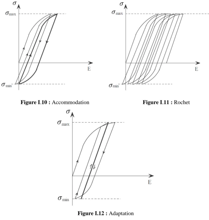 Figure I.12 : Adaptation 