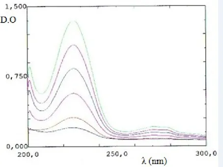 Figure 3.A.9 – Spectres UV de la Benzocaïne dans le pH =1,2 à différentes concentrations.