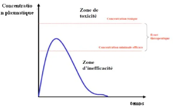 Figure 1.6 – Représentation des limites de l’écart thérapeutique délimité par la concentration minimale efficace et la concentration toxique.