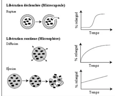 Figure 1.34 – Représentation schématique des différents modes de relargage des micropar- micropar-ticules et allure des cinétiques de relargage [96].