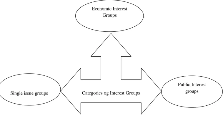 Diagram 1.2: Categories of Interest Groups 
