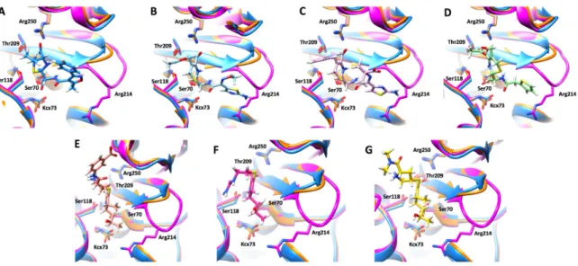 Figure 2. (A) Superposition of crystal structures of OXA-405 (blue, PDB 5FDH), OXA-163 (orange,  PDB 4S2L) and OXA-48 (magenta, PDB 3HBR), with an insert showing the almost perfect  superposition of key binding site residues of the three enzymes