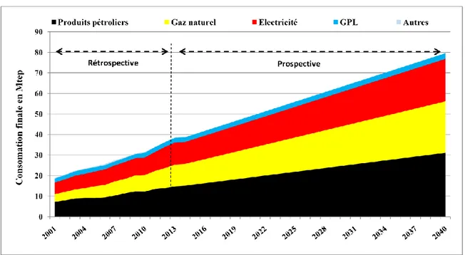Figure 2. 11: Evolution de la demande finale d‟énergie par produit à l‟horizon 2040. 