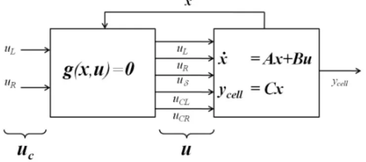 Figure 3. A Hammerstein-like model representation of the cell migration process.