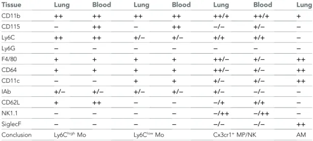 Table 1. Comparative phenotype of mononuclear phagocyte (MP) subsets in the blood and the lung