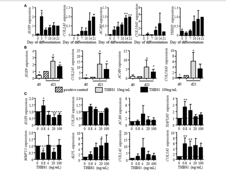 FigUre 2 | Effect of recombinant thrombospondin-1 (THBS1) on chondrogenesis and osteoarthritic chondrocyte phenotype