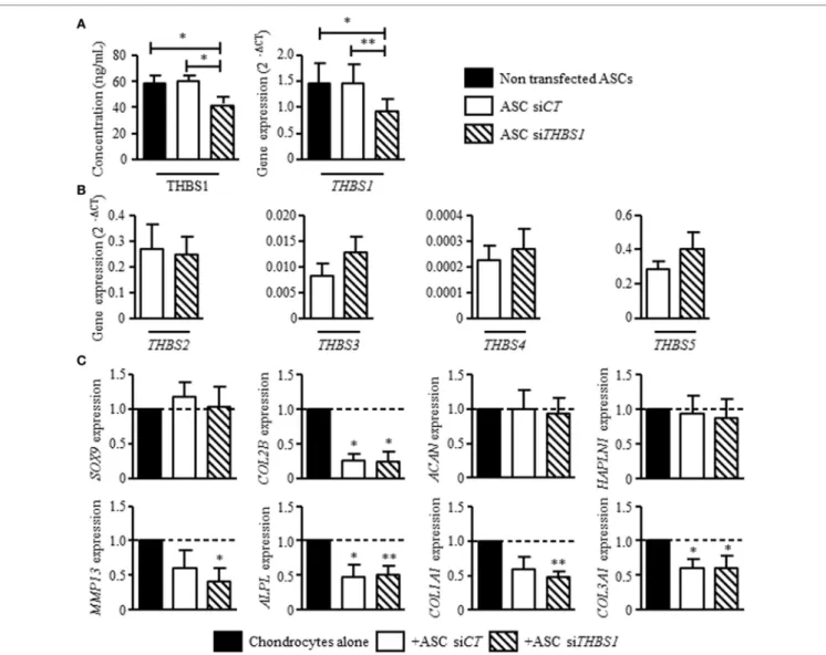 FigUre 3 | Effect of thrombospondin-1 (THBS1) secreted by adipose stem cells (ASCs) on osteoarthritic chondrocyte phenotype