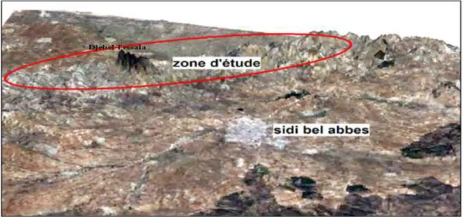 Fig. 2: Les monts de Tessala et Beni Chougrane vue en 3D (Source : Arcgisdz, 2019) 