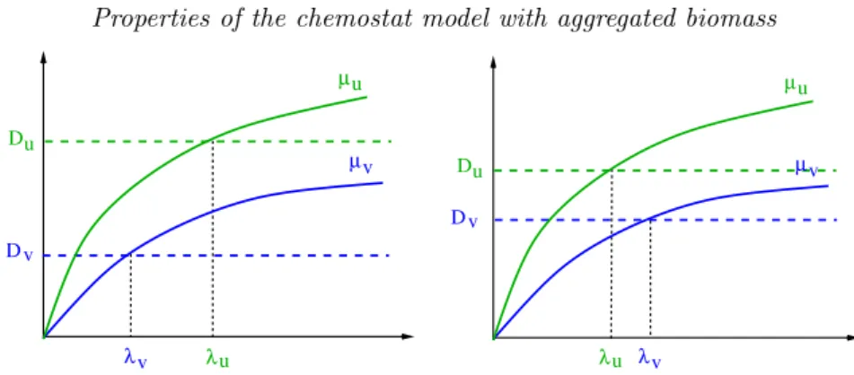 Figure 5. One can have λ u > λ v (left) as well as λ u < λ v (right).