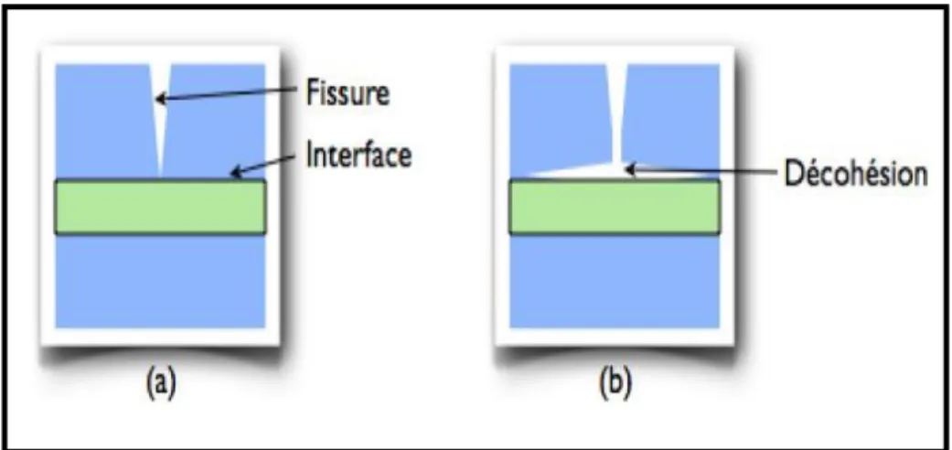 Figure 1.3 : Le rôle de l'interface sur la ténacité des composites. 