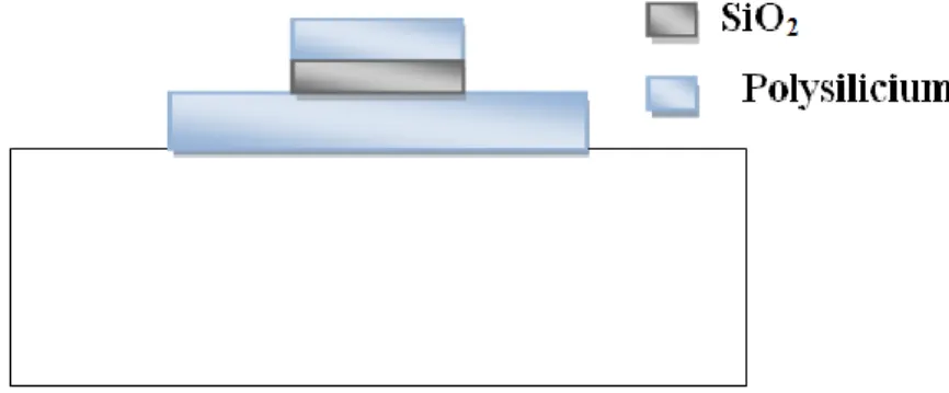 Figure II.8 : Structure obtenue après définition de la grille  II.3.2.4 Dopage de la grille, source et drain 