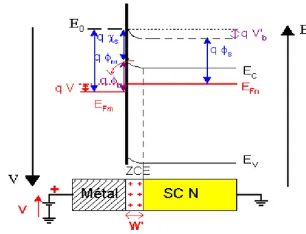 Figure I – 11: Diagramme d’énergie de la diode polarisée en direct (V&gt;0)  L’énergie de la barrière de potentiel semiconducteur/métal devient:  