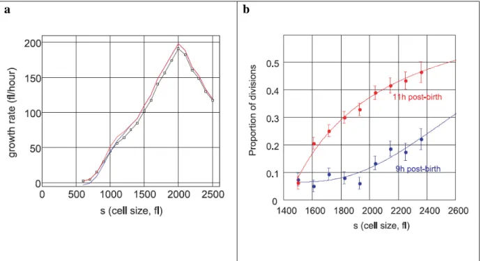 Figure 10: Maintenance of cell size by controlled growth rate and cell division frequency (Tzur et al., 2009)