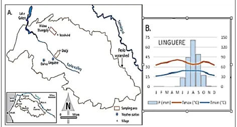 Figure 1. Localisation des zones échantillonnées (A) ; diagramme ombrothermique de la  station météorologique de Linguère de 1970 à 2012(B)