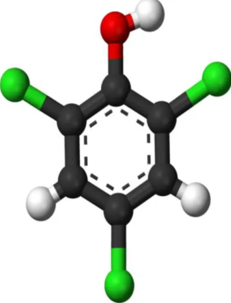 Fig I.6.Structure du 2 ,4,6-trichlorophénol 