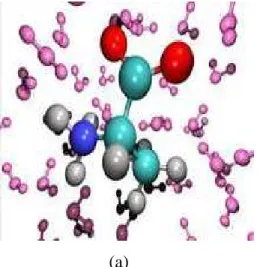 Figure II.2. Les deux types de solvatation  