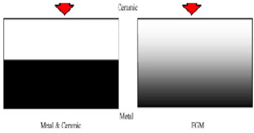 Figure II.1 : Type d'un matériau FGM en céramique et métal. 