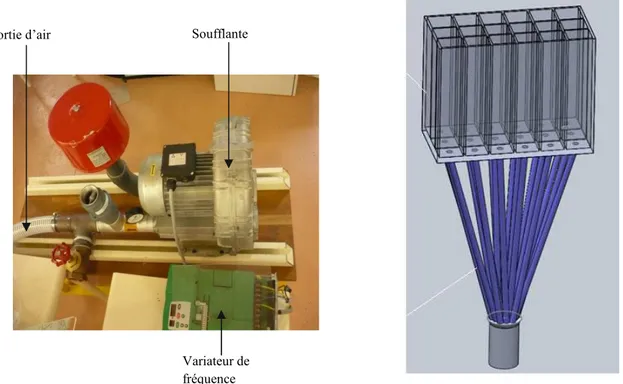 Figure 2.6 : Turbosoufflante et dispositif assurant la distribution uniforme de l’air de  fluidisation
