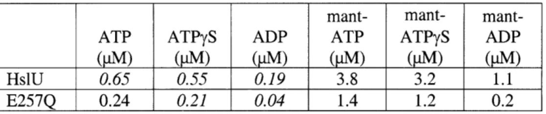 Table  1. Nucleotide  affinities.