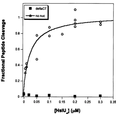 Figure  7.  ATP-independent  HslU*HslV  binding. HslV 12  (15  nM)  was  incubated  with Z-Gly-Gly-Leu-AMC  (100  tiM)  and  HslU  in  the absence  of nucleotide  (circles)  or  HslU lacking  its 7 C-terminal residues  (squares).