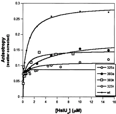 Figure 3.  gtl  binding by wild-type  and mutant variants  of HslU.