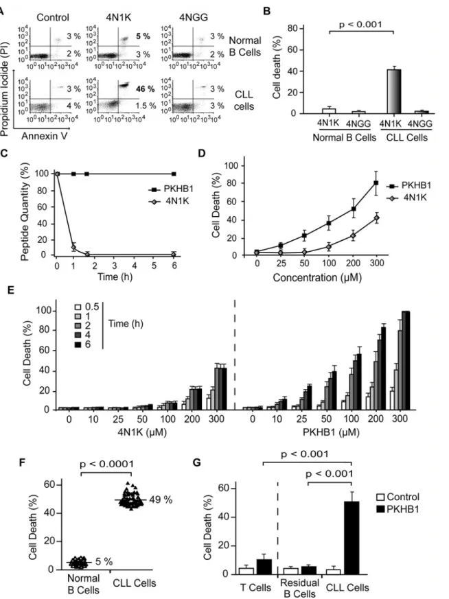 Fig 1. PKHB1 selectively induces cell death in leukemic B cells, including those from patients with dysfunctional TP53 