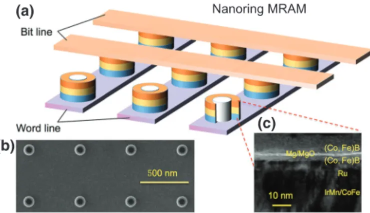 FIG. 2. (a) The architecture for nanoring MRAM containing MTJ cells. Access transistors of MRAM are not shown here