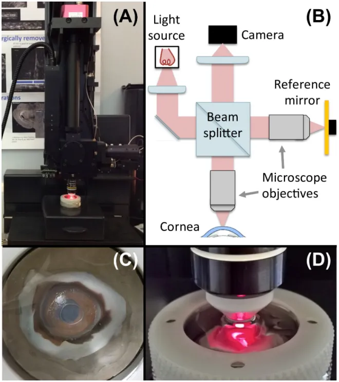Fig 1. Schematic and photographs of the FF-OCT system used in this study. (A) Photograph of the commercial FF-OCT device (Light- (Light-CT, LLTech, Paris, France)