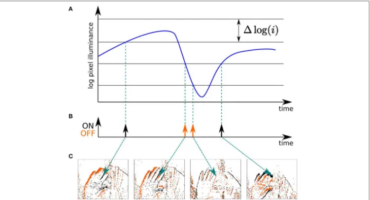 FIGURE 2 | Principle of operation of the neuromorphic camera used in this work. (A) When the change in illuminance of a given pixel’s field of view exceeds a certain threshold, (B) it emits a visual event, which is either "ON" or "OFF" depe