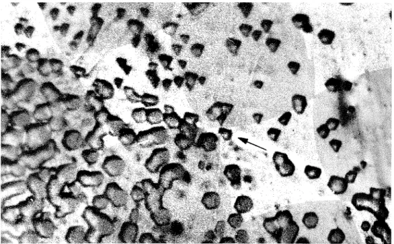 Figure  1.  Note crystal  boundary running diagonally  from bottom right  to top left