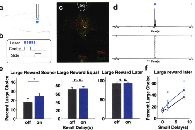 Figure  4-3:  Activation  of  ChR2-expressing  DR  sertonergic neurons  suppresses  impulsive choice