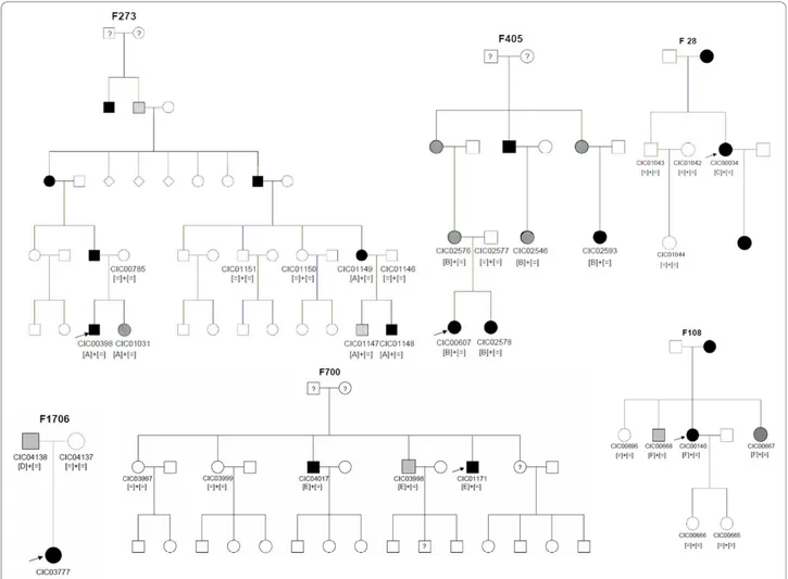 Figure 1 Pedigrees of adRP patients with PRPF31 mutations and co-segregation in available family members