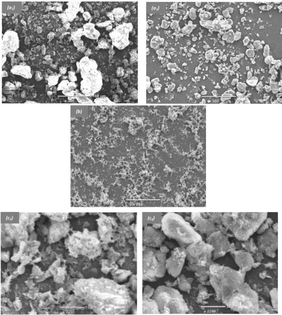 Fig. 3. SEM micrographs of GCE covered with various films: Amino-AT particles before (a 1 )  and after 30 min use in solution (a 2 ), mesoporous silica (b), and Amino-AT-Silica before (c 1 )  and after 30 min use in solution (c 2 )