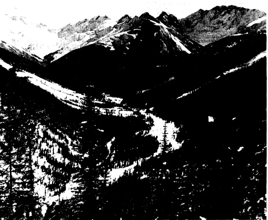 Figure  2  Rogers  Pass  Summit,  view  from  n o r t h   and  south,  2  March  1957