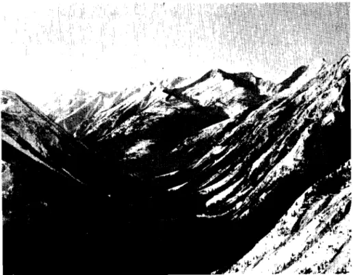 Figure  1 9   Summit  of  Rogers  P a s s ,   view  from  west  t o  e a s t ,   w i t h   s i t e   of  observa-  t o r y  Hermit  ( X ) ,   1  March  1958