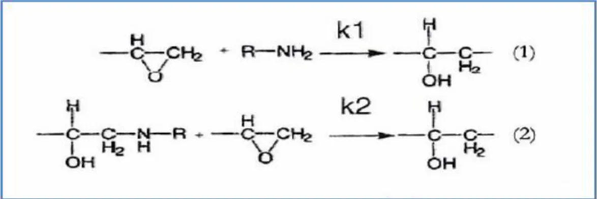 Figure  6 : Réaction  de polyaddition  entre  bouts  de chaînes  amine  et époxydes  [2]