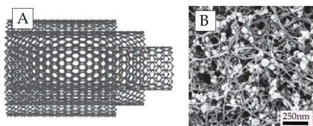 Figure I.5 : Nanotube du carbone. A) Schématisation de nanotube du carbone multicouche, B) Image  par MEB de nanotubes de carbone  [Marquis 2011]