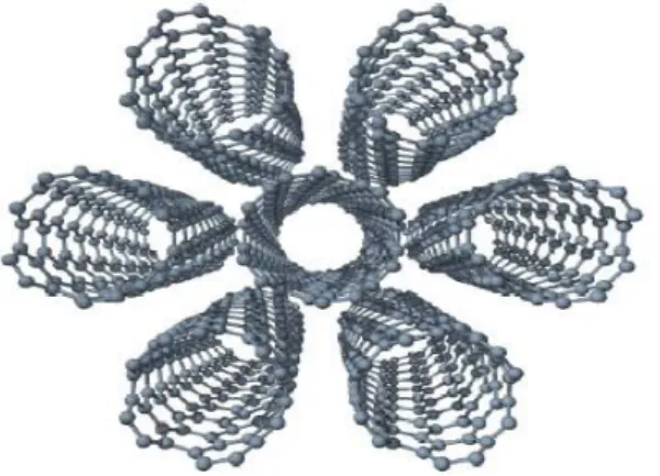 Figure I.10: Schéma d'un cristal de 7 nanotubes  I.4 .3 Synthèse des nanotubes de carbone  