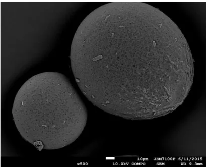 Figure B-2-10:Images de microscopie optique des microsphères préparées avec le  mélange d’EC/HPMC (80%-20%)
