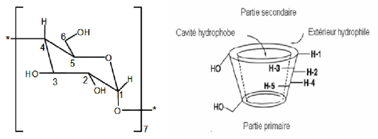 Figure A-2-3 : Représentation d’une unité glucosidique en conformation chaise et  représentation schématique de la β-cyclodextrine 