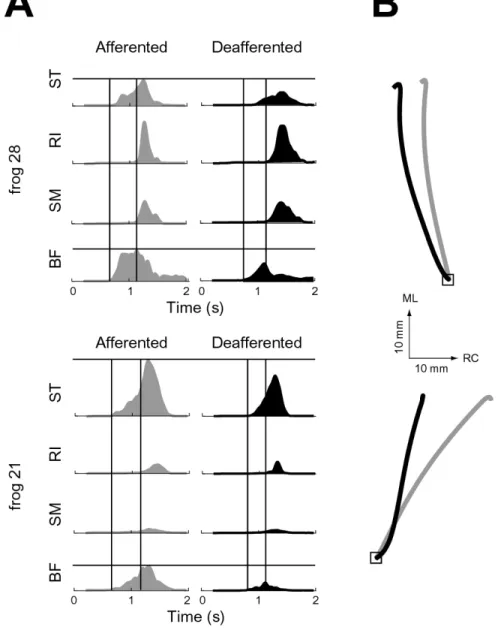 Figure 3-3: Afferent influence on wipe motor pattern and kinematics