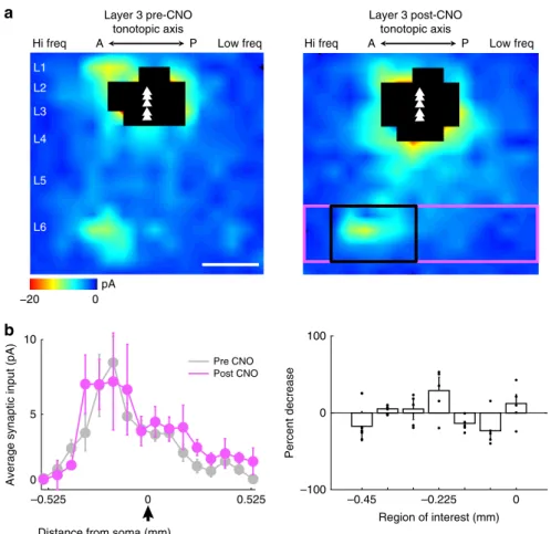 Fig. 7 Chemogenetic silencing of L6-Ntsr1 input to L3. a Average population input maps of L3 neurons before (left) and after (right) presynaptic silencing of Ntsr1 input with CNO infusion into the bath