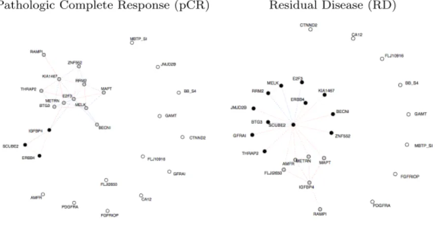 Fig 6. Graphs of conditional dependencies among the 26 genes selected by [23] on patients with pathologic complete response or residual disease with medium regularization as presented in Figure 3 of [1].